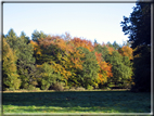 foto Parco Wilhelmshöhe in Autunno